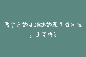 两个月的小猫拉的屎里有点血,正常吗?