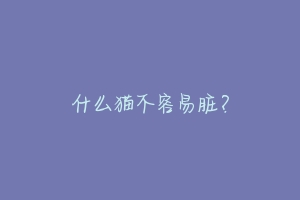什么猫不容易脏?