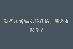 有谁用樟脑丸驱猫的,猫老是爬车?