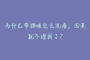 为什么带猫咪出去洗澡,回来就不理我了?