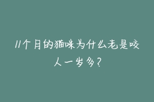 11个月的猫咪为什么老是咬人一岁多?