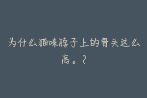 为什么猫咪脖子上的骨头这么高。?