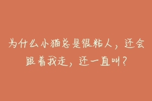 为什么小猫总是很粘人，还会跟着我走，还一直叫？