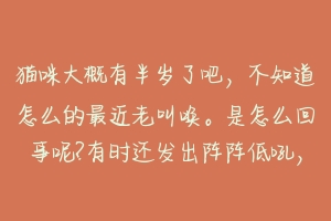 猫咪大概有半岁了吧,不知道怎么的最近老叫唤。是怎么回事呢?有时还发出阵阵低吼,影来了另外一只猫?