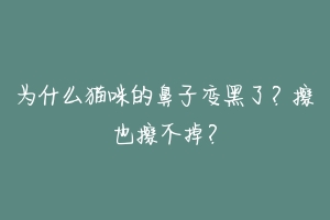 为什么猫咪的鼻子变黑了？擦也擦不掉？