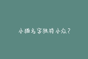 小猫名字独特小众?
