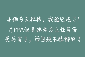 小猫今天拉稀,我给它吃了1片PPA但是拉稀没止住反而更厉害了,而且现在脸都肿了,急死我了,怎么办啊?