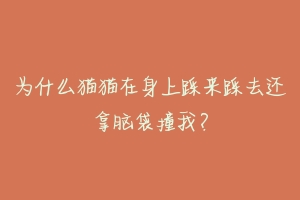 为什么猫猫在身上踩来踩去还拿脑袋撞我?