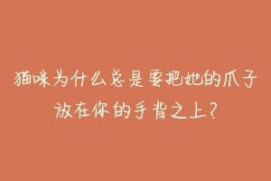 猫咪为什么总是要把她的爪子放在你的手背之上？