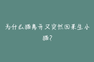为什么猫离开又突然回来生小猫?