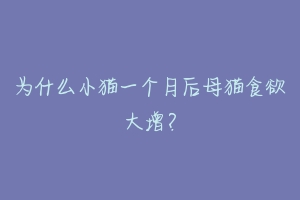 为什么小猫一个月后母猫食欲大增？