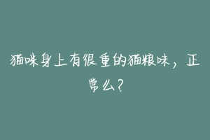 猫咪身上有很重的猫粮味,正常么?