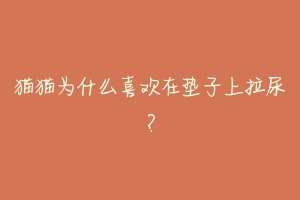 猫猫为什么喜欢在垫子上拉尿?