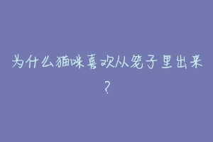为什么猫咪喜欢从笼子里出来?