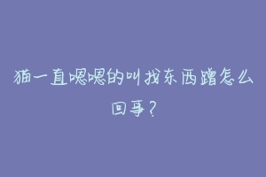 猫一直嗯嗯的叫找东西蹭怎么回事?