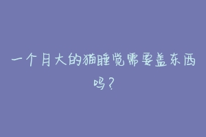 一个月大的猫睡觉需要盖东西吗?