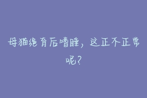 母猫绝育后嗜睡,这正不正常呢?