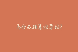 为什么猫喜欢孕妇?