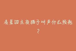 凌晨四点夜猫子叫声什么预兆？
