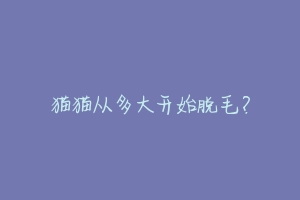 猫猫从多大开始脱毛?