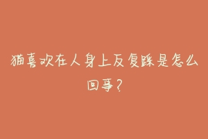 猫喜欢在人身上反复踩是怎么回事?