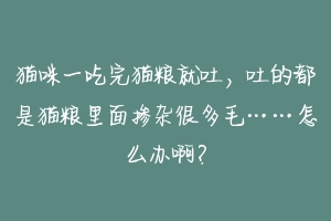 猫咪一吃完猫粮就吐,吐的都是猫粮里面掺杂很多毛……怎么办啊?