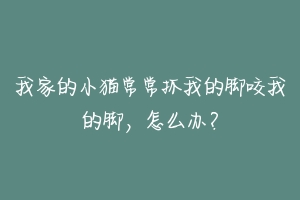 我家的小猫常常抓我的脚咬我的脚,怎么办?
