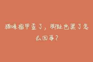 猫咪指甲歪了,脚趾也黑了怎么回事?