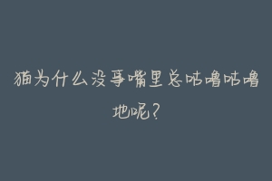 猫为什么没事嘴里总咕噜咕噜地呢?