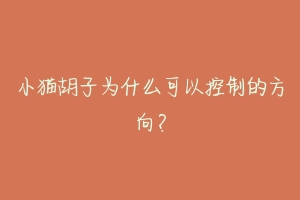 小猫胡子为什么可以控制的方向?