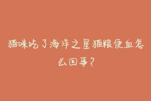 猫咪吃了海洋之星猫粮便血怎么回事?