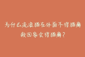 为什么流浪猫在外面不得猫癣救回家会得猫癣？