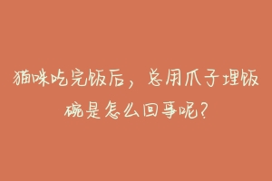 猫咪吃完饭后,总用爪子埋饭碗是怎么回事呢?