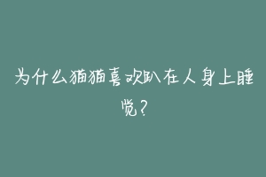为什么猫猫喜欢趴在人身上睡觉?