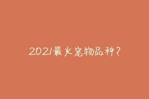2021最火宠物品种?