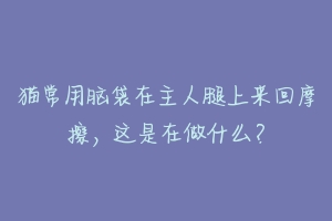 猫常用脑袋在主人腿上来回摩擦，这是在做什么？