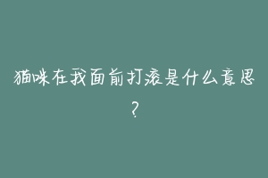 猫咪在我面前打滚是什么意思?