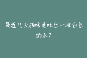 最近几天猫咪爱吐出一滩白色的水?
