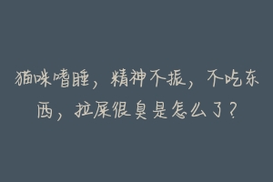 猫咪嗜睡,精神不振,不吃东西,拉屎很臭是怎么了?