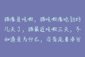 猫像是咳嗽，猫咳嗽像呛到好几天了，猫最近咳嗽三天，不知道是为什么，没有流鼻涕发烧什么的？