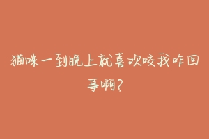 猫咪一到晚上就喜欢咬我咋回事啊?