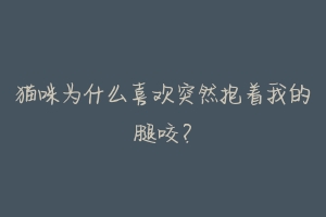 猫咪为什么喜欢突然抱着我的腿咬?