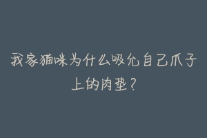 我家猫咪为什么吸允自己爪子上的肉垫？