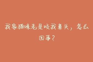 我家猫咪老是咬我鼻头,怎么回事?