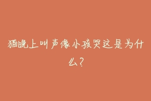 猫晚上叫声像小孩哭这是为什么?