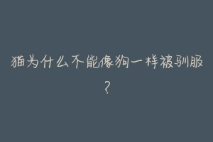 猫为什么不能像狗一样被驯服？