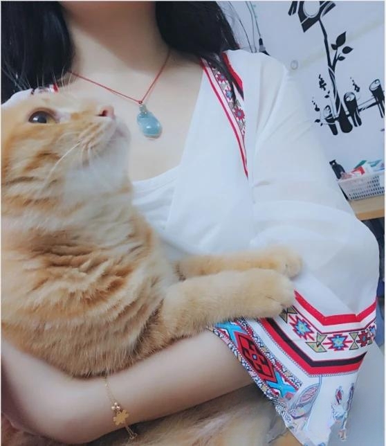 猫对着你叫,你怎么办?