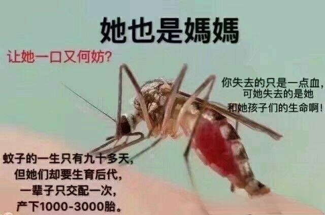 男朋友失去了一个亲人,我想唱首歌安慰他,该唱什么歌好呢?