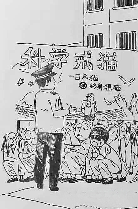 猫有哪些惹人喜爱的地方?