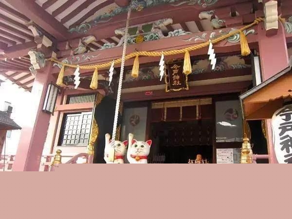 猫在日本为何有如此高的地位?